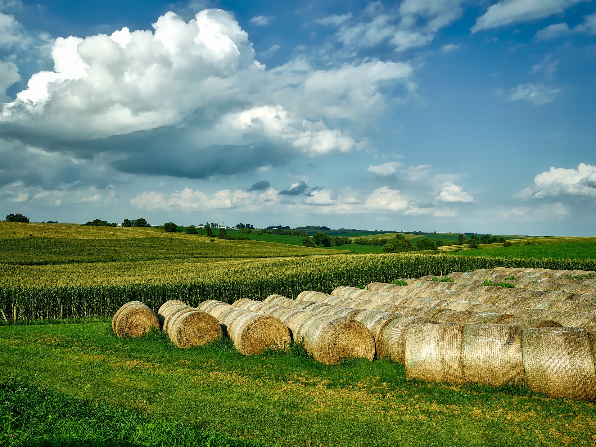 Iowa Hay Bales