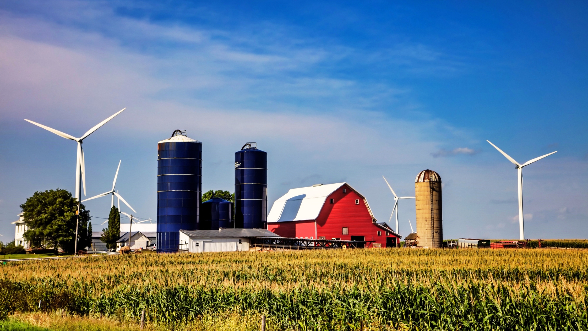 Landscape of Iowa Farm Iowa Farm Landscape