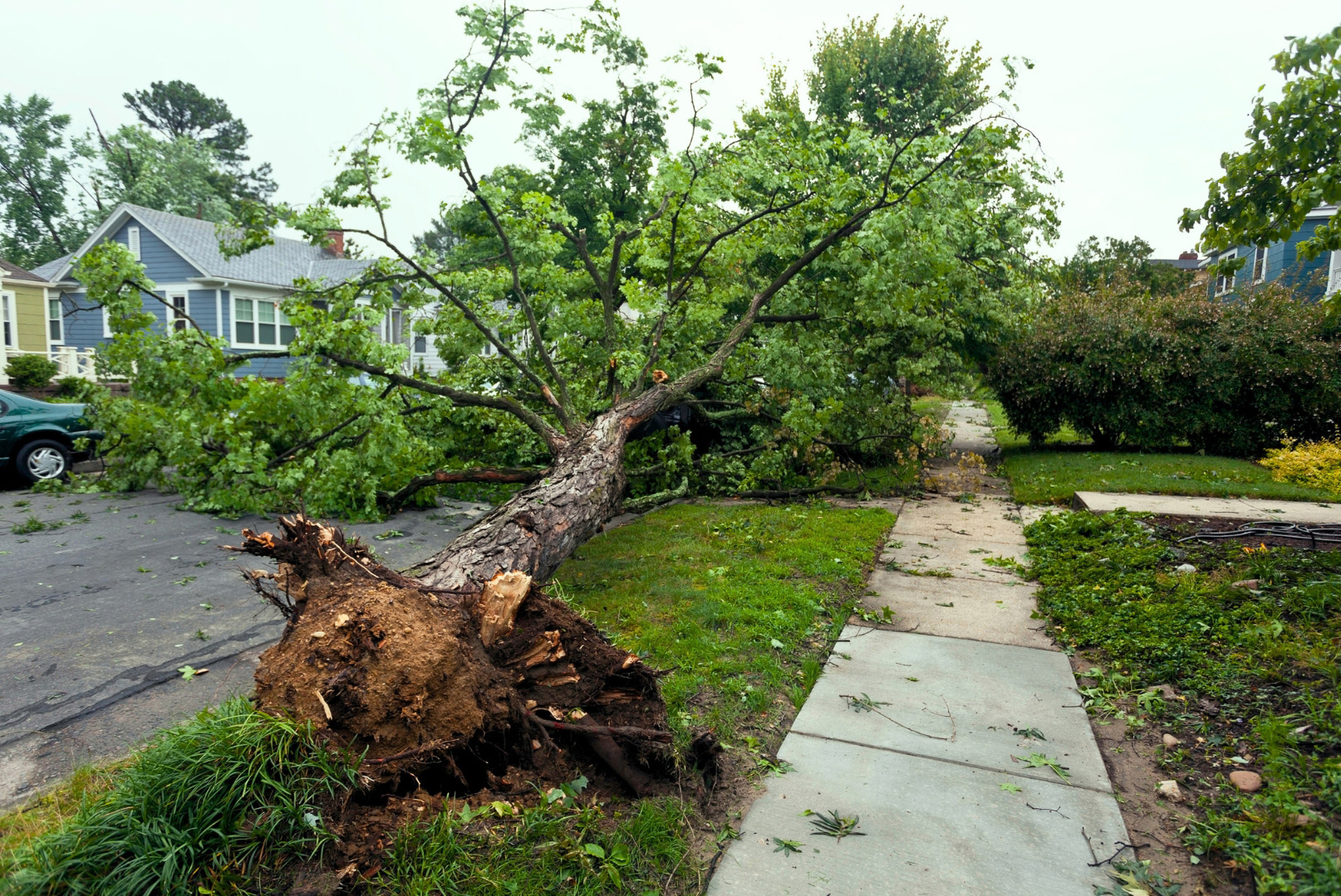 Landscape Image Storm Damage Storm Damage Landscape